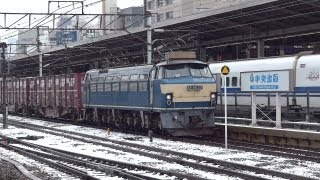 JR貨物 EF66-33 貨物列車 (1252レ EF66 0番台 ゼロロク) 雪の名古屋駅