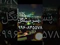 شماره پسر برای دوستی و برای ازدواج شماره پسر شماره پسر دوست پسر همسر شوهر 
