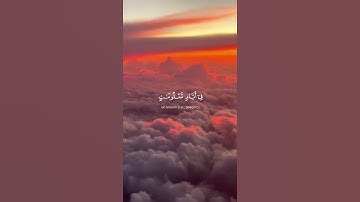 ما تيسر من سورة الحج | القرآن الكريم | القارئ ياسر الدوسري