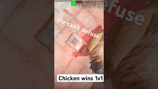 Chicken blocks defuse winning 1v1 #cs2 #cs2moments #cs2memes #cs2viral #foryou #foryoucs  #csgo