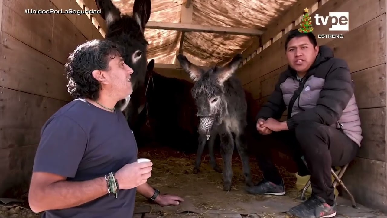 Reportaje al Perú - PUNO | 2025