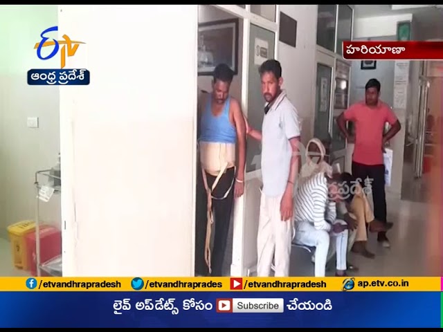6-foot-long tapeworm found in man's intestine | Haryana 6-foot-long tapeworm found in man's intestine | Haryana