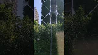 Singapore Vertical Gardens