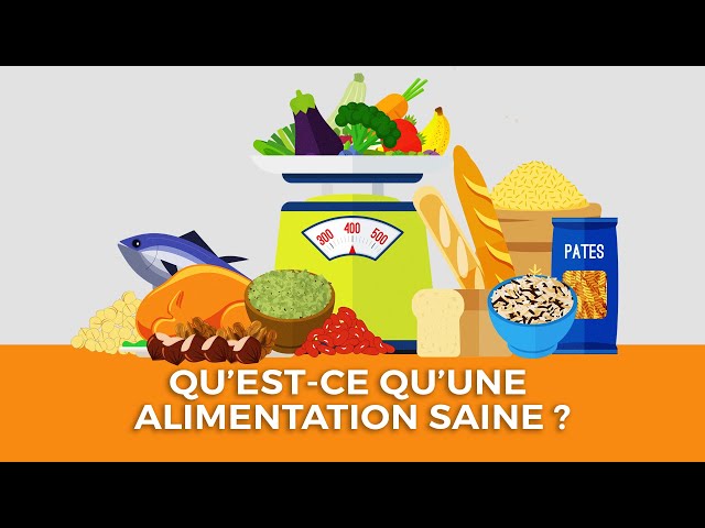 ALIMENTATION 