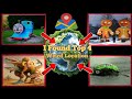 I Found Strange Top Viral Location In Google Maps And Google Earth#map#earthunseen