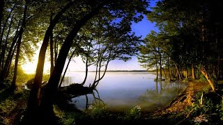 Copyright-Free Nature Video Free Nature Video No Copyright Nature Videos Video Nature Download
