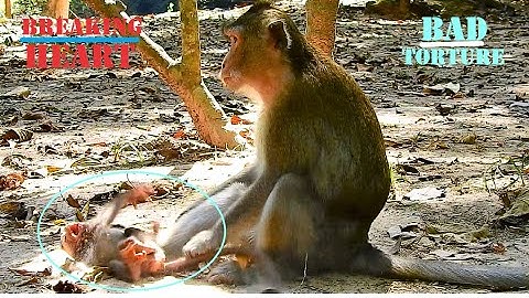 HEART SHOCKING_BAD MUM ANNA TORTURING POOREST ANISSA SO CRUELTY, ANISSA CRY & CRY NEARLY SHOCK.