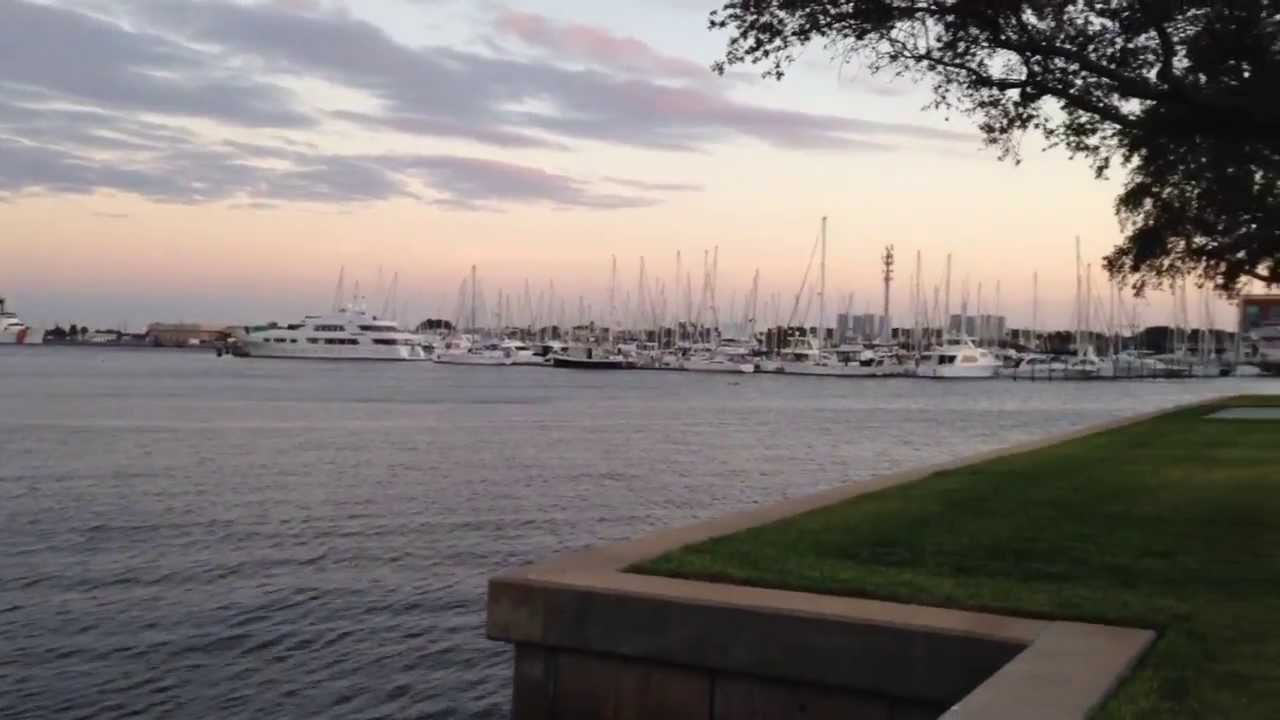 USF St Petersburg Campus and Harborage Marina YouTube