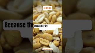 🥜 Why Peanuts Are Not Nuts? | Fun Fact Uncovered! 🥜