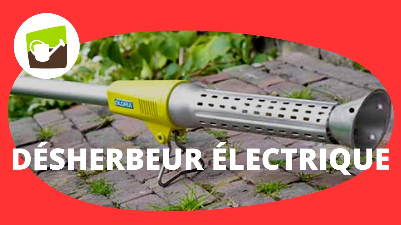 Désherbeur Électrique 2000W - Brûleur Herbe 650°C | Outil Jardin Zaizai