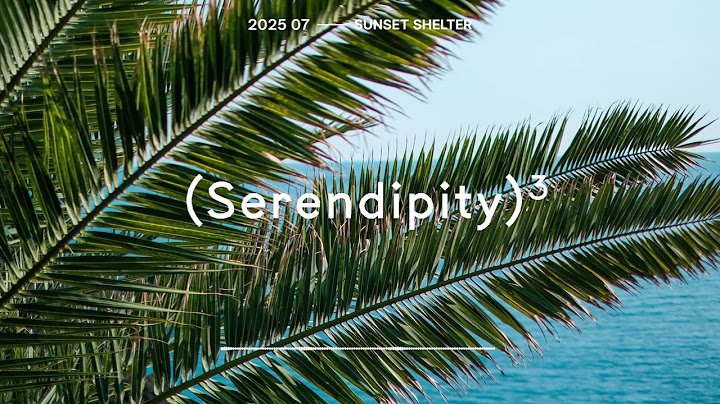 [Playlist] 뜨거운 하루 속, 시원한 그늘같은 편안함을 담은 플레이리스트ㅣ Serendipity by Dguru