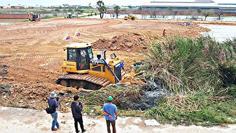 Incredible!! Best filling lake project processing by bulldozer shantui pushing soil& 25.5ton truck.
