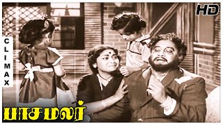 Pasamalar Full Movie Part Climax