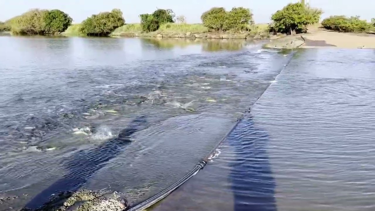 Shady Camp barrage NT