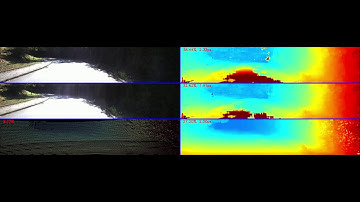 [CVPR 2019] Guided Stereo Matching