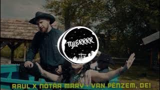 RAUL x NÓTÁR MARY - VAN PÉNZEM, DE! [Tylerrrr Remix]