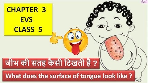 Class 5 EVS Chapter 3 | जीभ की सतह कैसी दिखती है ?| Tongue