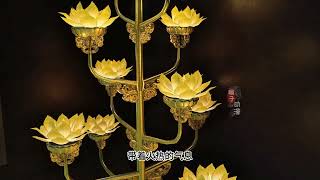 夫君们把我宠上天416集#热点话题 #二次元 #动漫 #搞笑 #剧情