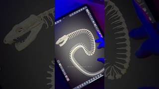3D Snake Skeleton on iPad with NomadSculpt  #shorts #snake #skeleton #3dmodeling #ipad
