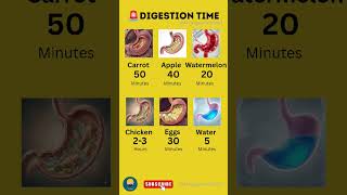 How Long Does It Take to Digest Different Foods? 🍉🍗🥚 Digestion Time Explained #healthyeating #facts