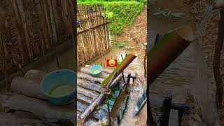 cara ampuh untuk mengusir hama ikan.berang2 & burung... !!! #shorts