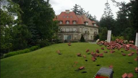 Carrara 8 Bullet Physics