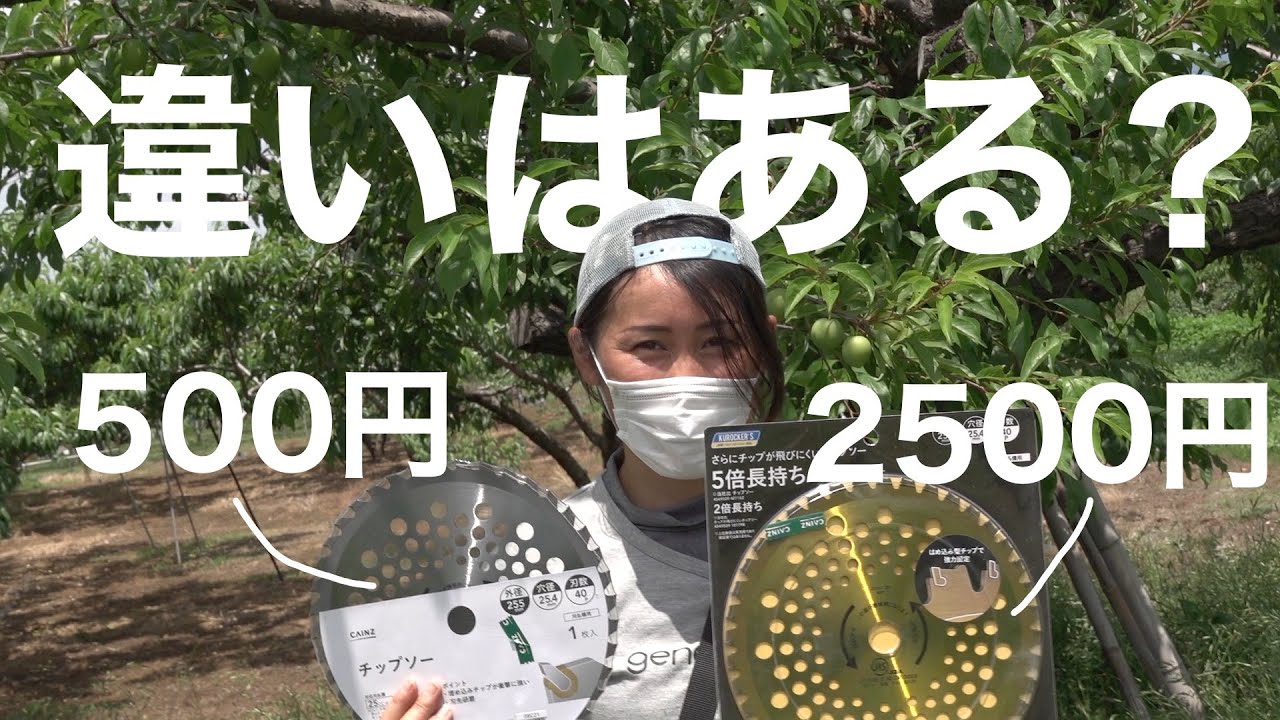 値引きしました❗ ［］訳あり草刈り機 燃料とチップソー刃 農業資材 