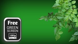 Leaves green screen effects | green screen tree leaves flying | leaf green screen video