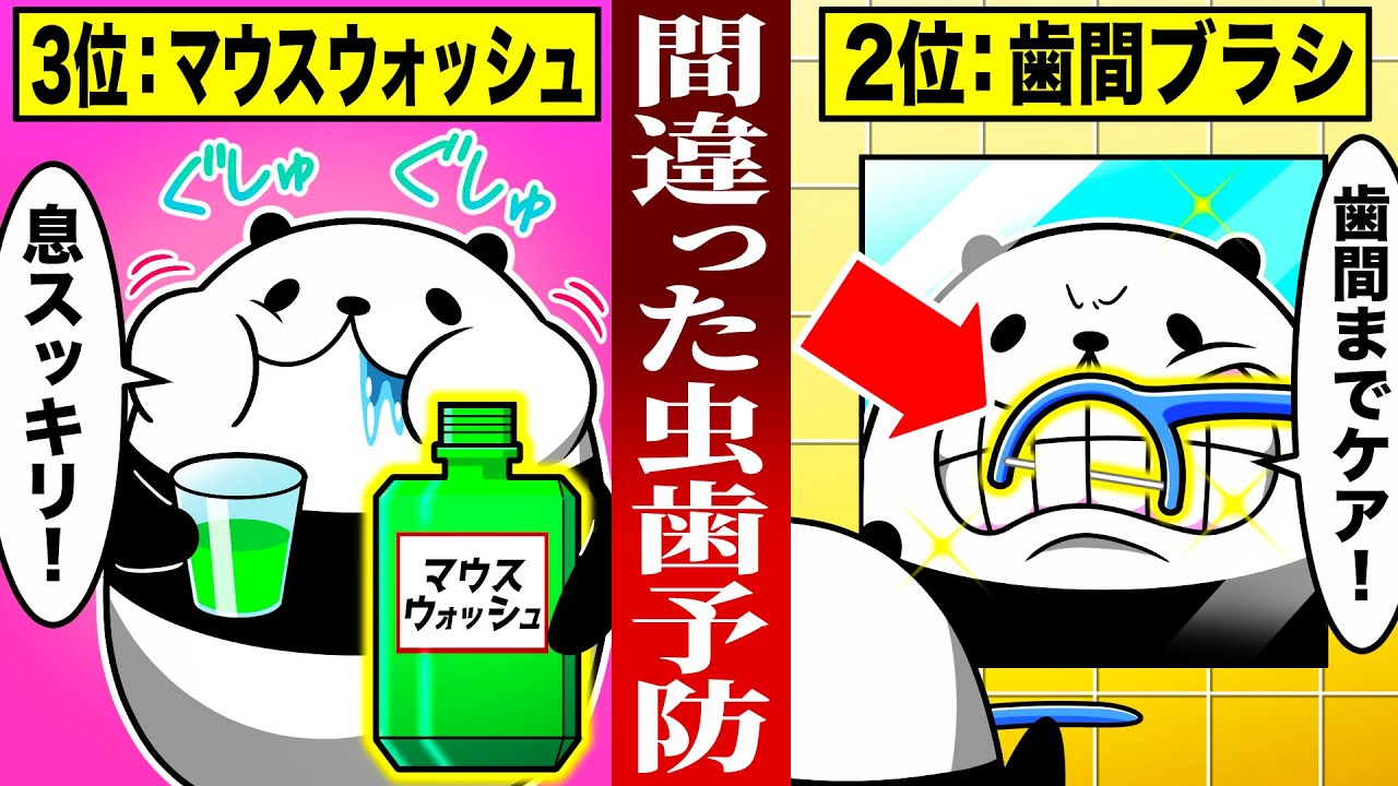 【必見】間違った虫歯の予防法【総集編】【アニメ】