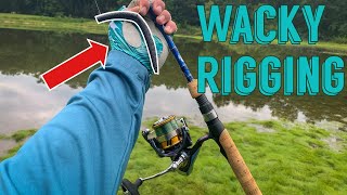 Wacky Rig Saves the Day! Bank Fishing Tips
