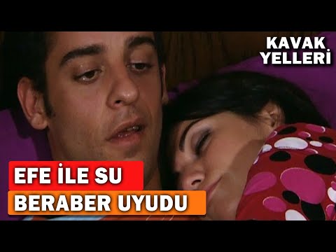 Efe'yle Su Beraber Uyudular! - Kavak Yelleri 20.Bölüm