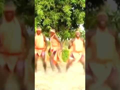 Amapianomix2022latestsongs Dj Lushikolomo Mchelemchele Djmsix Extended Tiktok Youtubeshort 