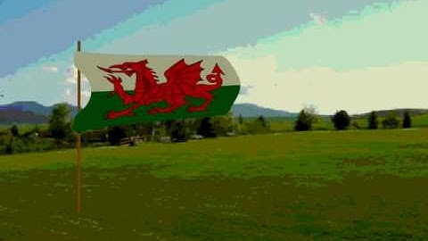 Welsh Flag (3D)