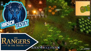 Rollenspiel in 2,5D Pixelgrafik und mit Roguelike Elementen ► The Rangers in the South