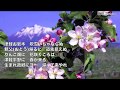 [新曲]   帰って来やれ / 水城なつみ cover Keizo
