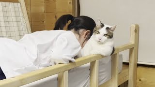 ピアノの練習で疲れた娘を全身で癒してあげる猫