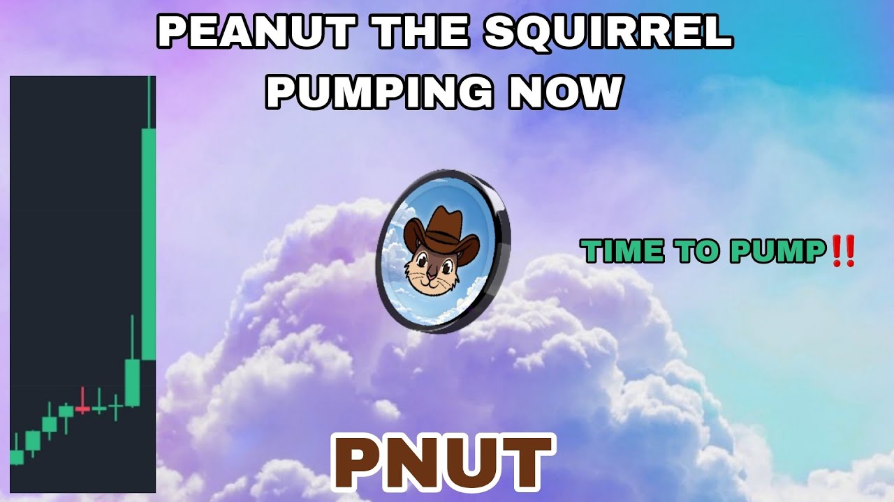 PNUT COIN PUMPING NOW IN MAY 2025‼️ PEANUT THE SQUIRREL TIME TO PUMP‼️ ...