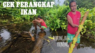 Download Lagu AWAL PAGI CEK PERANGKAP IKAN // CARI REBUNG DAN PAKIS BUAT SAYUR WAKTU PETANG MP3 Download Lagu AWAL PAGI CEK PERANGKAP IKAN // CARI REBUNG DAN PAKIS BUAT SAYUR WAKTU PETANG MP3