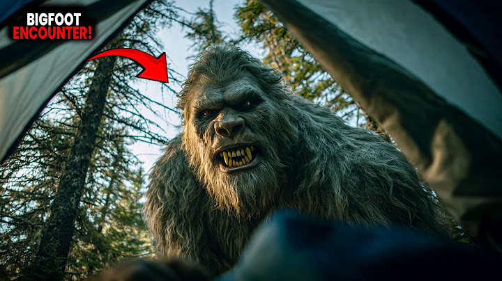 9 Strange Bigfoot Encounters That No One Can Explain