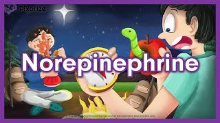 Norepinephrine Mnemonic for NCLEX | Nursing Pharmacology