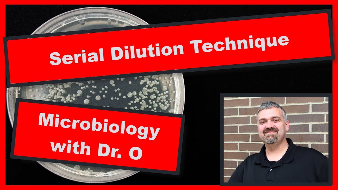 Serial Dilution Technique: Microbiology - YouTube