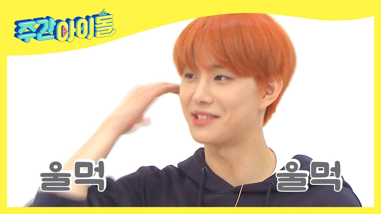 [Weekly Idol] 울멍_울멍🥺 긴장한 정우의 떨리는 첫 셀프 보고서❗ l EP.378