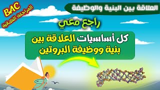 🔒المراجعة النهائية للوحدة 2 العلاقة بين بنية ووظيفة البروتين| بكالوريا