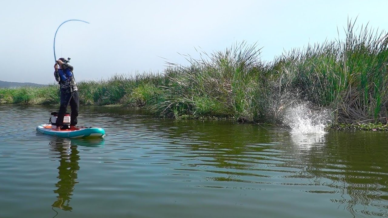 Pesca BRUTAL desde mi Paddleboard