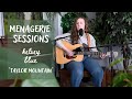 Menagerie sessions with kelsey blue taylor mountain