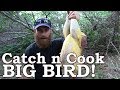 Catch and Cook GIANT Wild BIRD & Mullberries! Ep04 | 100% WILD Food SURVIVAL Challenge!