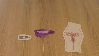 Junges Mädchen Arschfick und bittet um Sperma im Mund! Junges Mädchen Arschfick und bittet um Sperma im Mund!