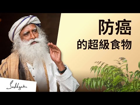 防癌的超級食物 | Sadhguru (薩古魯)