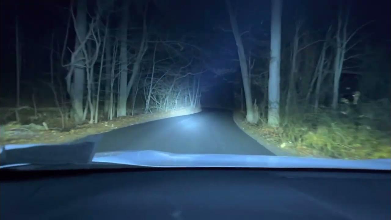 Diode Dynamics SS5 Sport on a RAV4 Hybrid YouTube