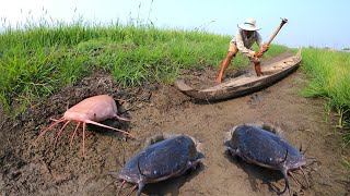 Best Hand Fishing - catch a lots of monster Redfish & catfish under boat in field catch by hand